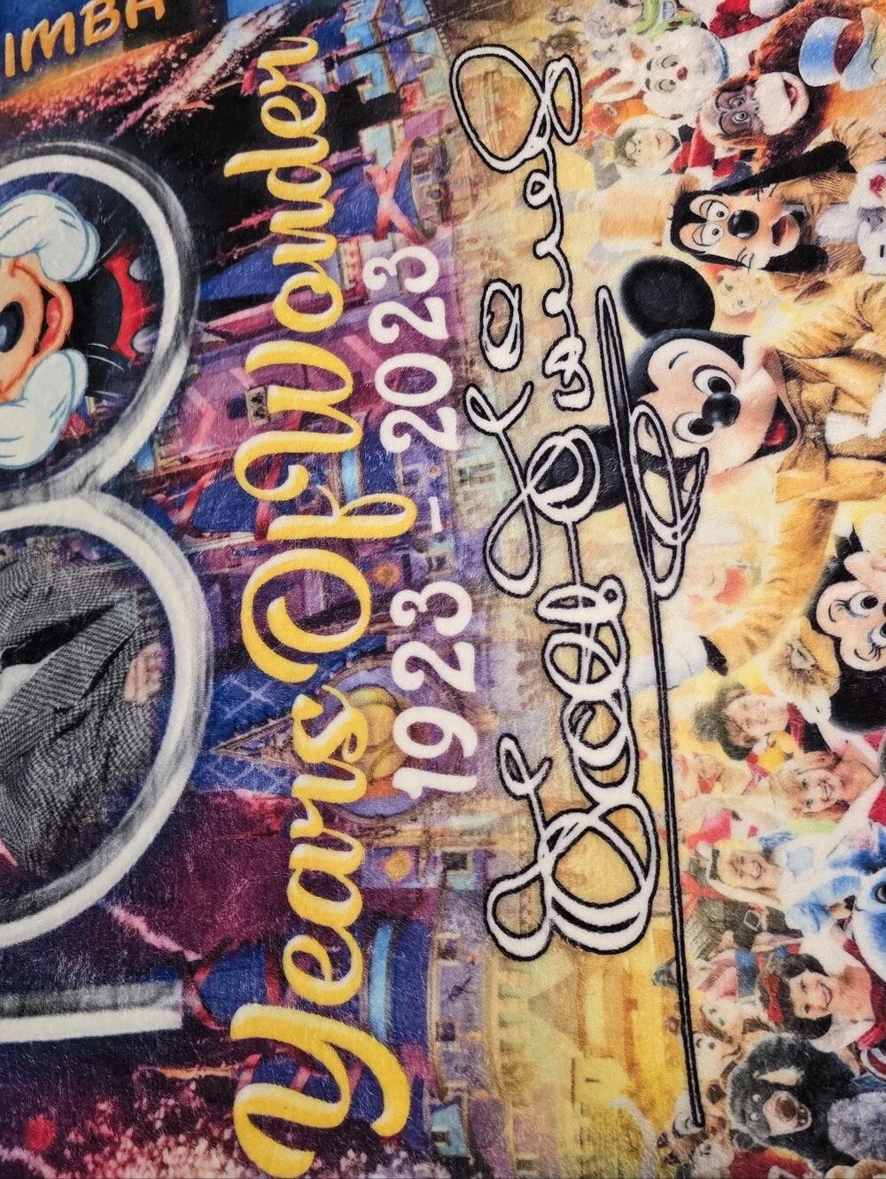 Disney 100 Years of Wonder Multicolor Throw Blanket
